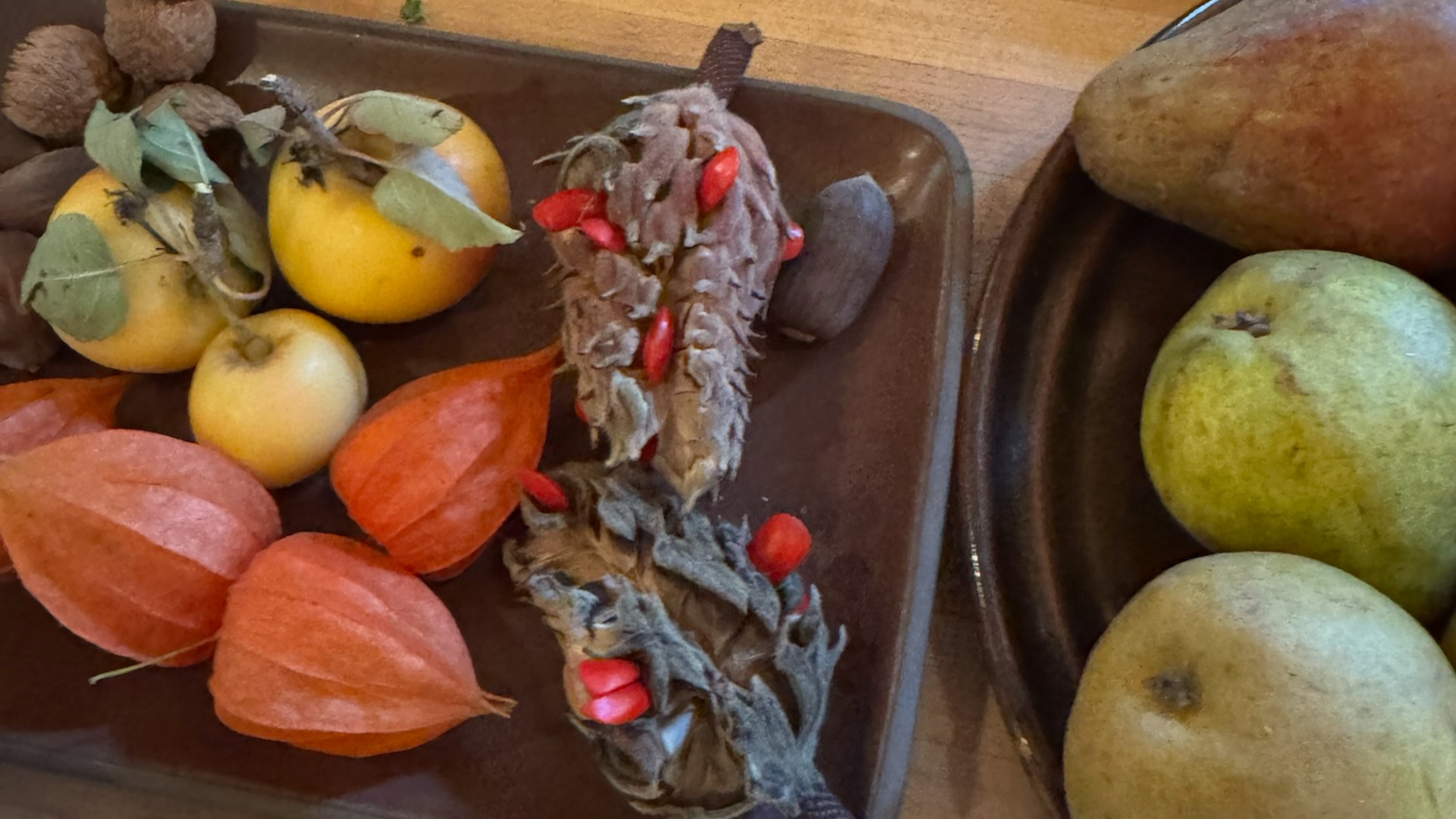 Autumn harvest display with pears, persimmons, physalis, and dried seed pods, representing the fall equinox and seasonal transition.